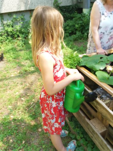 Garten1